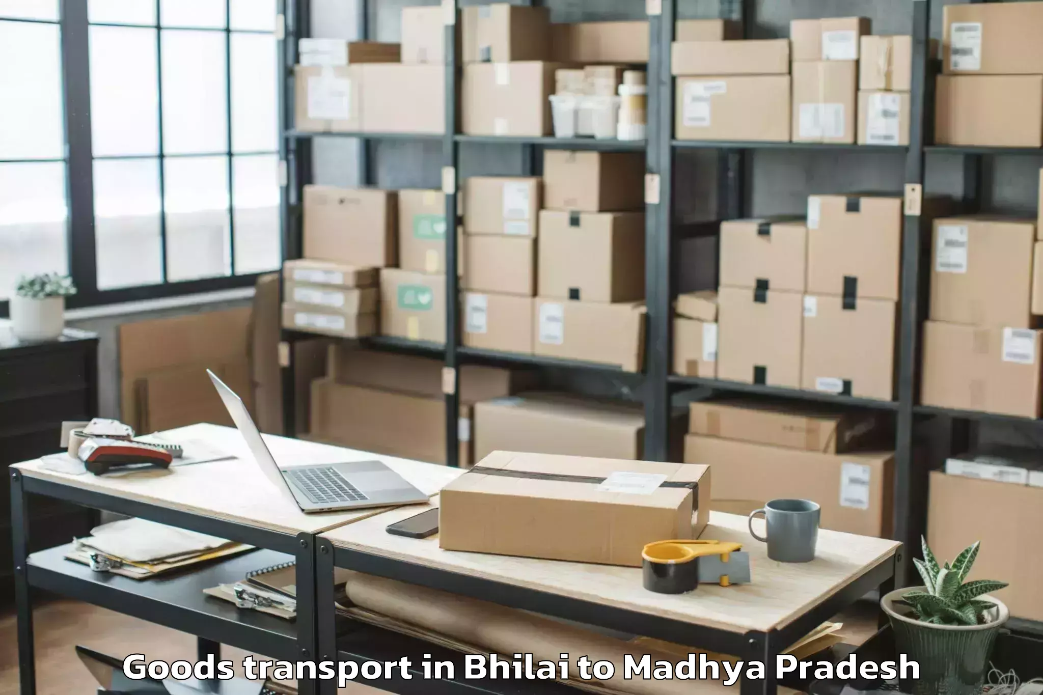 Top Bhilai to Jaisinghnagar Goods Transport Available